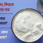 টক দই বাচ্চাকে কখন খাওয়ানো যায়